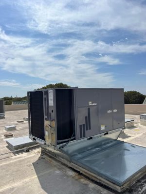 WhatsApp Image 2024-04-02 at 4.44.00 p. m. (3)